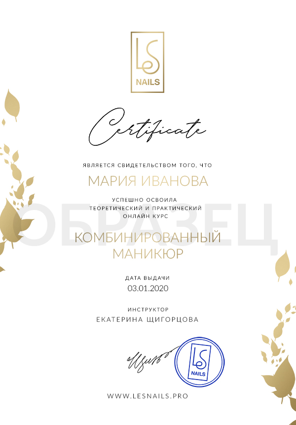 Онлайн-курсы с сертификатом для начинающих